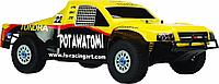 Радиоуправляемая машина Desert Truck 1/8 PRO EP