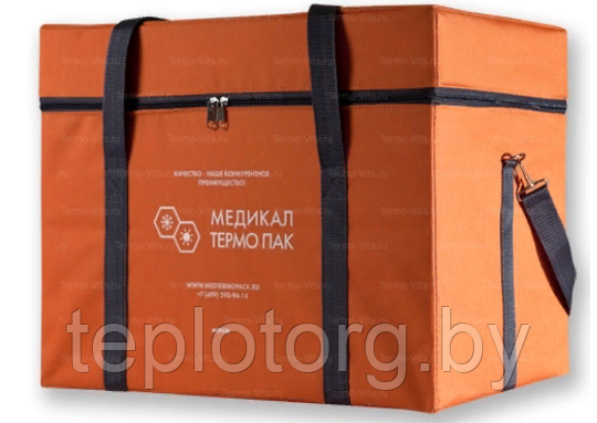 Термоконтейнер МТП-L30 в сумке-чехле, внутренняя отделка - пластик - фото 1 - id-p88586240