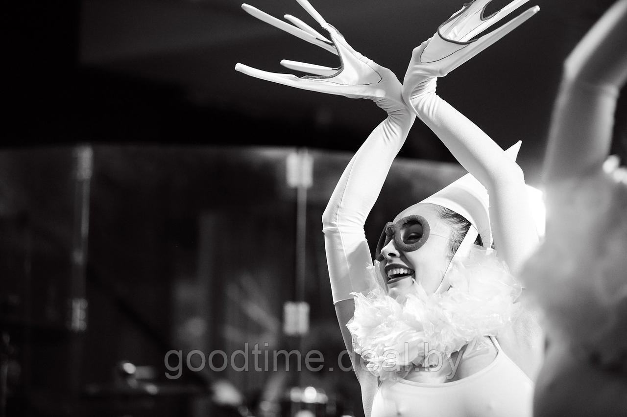 Танцевальная клоунада в Гранд Опера - фото 6 - id-p88660268