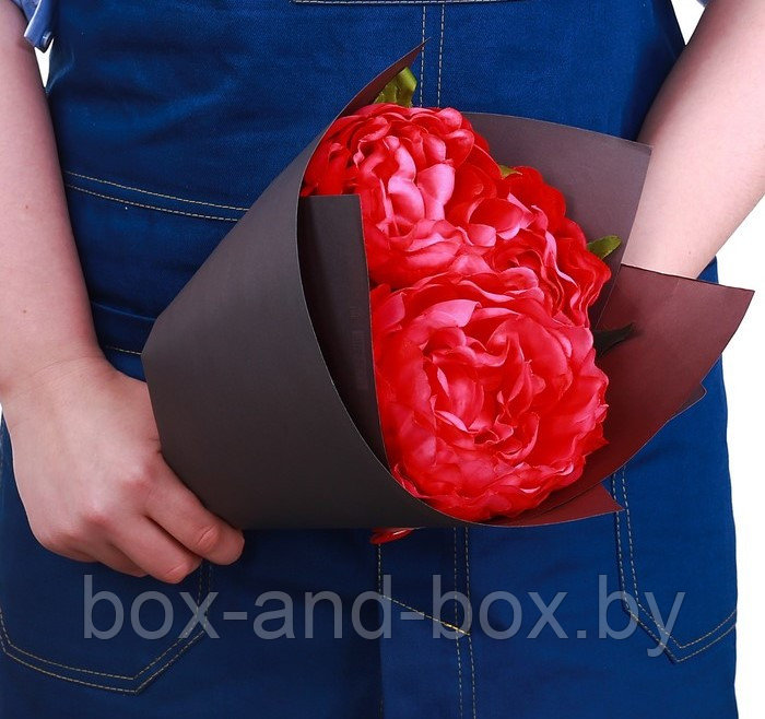 Бумага крафт «Графит и бордо», серия Пантон