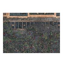 Warhammer: Kill Team: Истребительная Зона: Лес Мира Смерти / Kill Zone: Death World Forest (арт. 102-32-60), фото 2