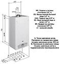 Газовый настенный котел baxi main 5 14F, фото 5