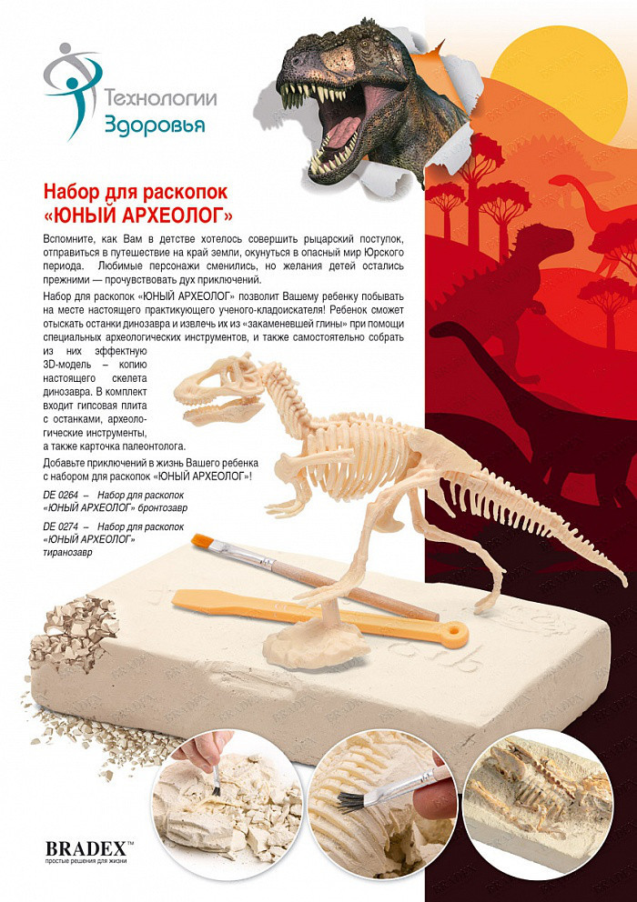 Набор для раскопок «ЮНЫЙ АРХЕОЛОГ» бронтозавр - фото 1 - id-p88833421