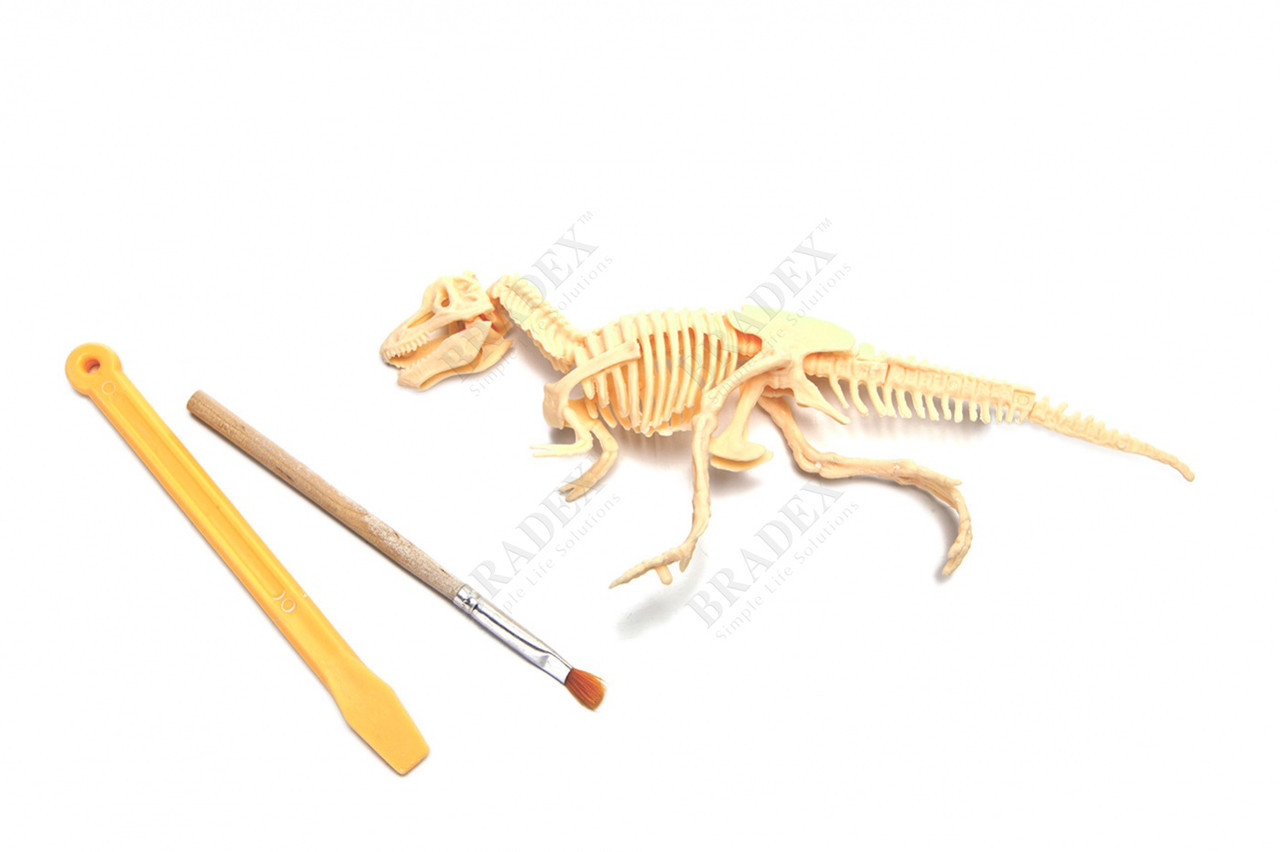 Набор для раскопок «ЮНЫЙ АРХЕОЛОГ» бронтозавр - фото 3 - id-p88833421