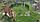 Пергола садовая из массива сосны  "Бордо" (Д2000*Г600*В2200мм), фото 4