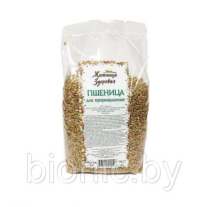 Пшеница для проращивания "Житница здоровья", 400г 1/20, фото 2