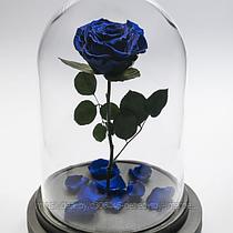 Роза в стеклянной колбе KING SIZE (32 см) синяя