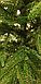 Елка искусственная MaxY Poland Рождественская с литыми иголками, фото 3