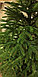 Елка искусственная MaxY Poland Рождественская с литыми иголками, фото 6