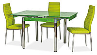 Стол обеденный SIGNAL GD082 зеленый