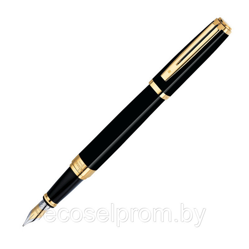 Waterman Exception Ideal Black GT F