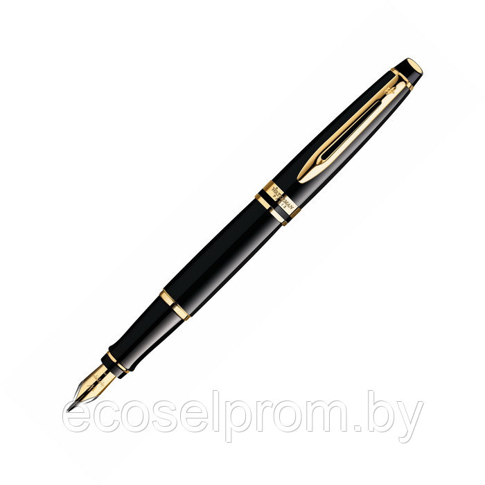 Waterman Expert 3 Black GT