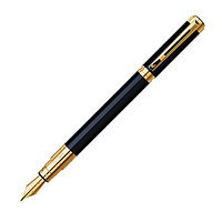 Waterman Perspective Black GT