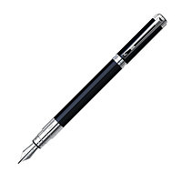 Waterman Perspective Black CT