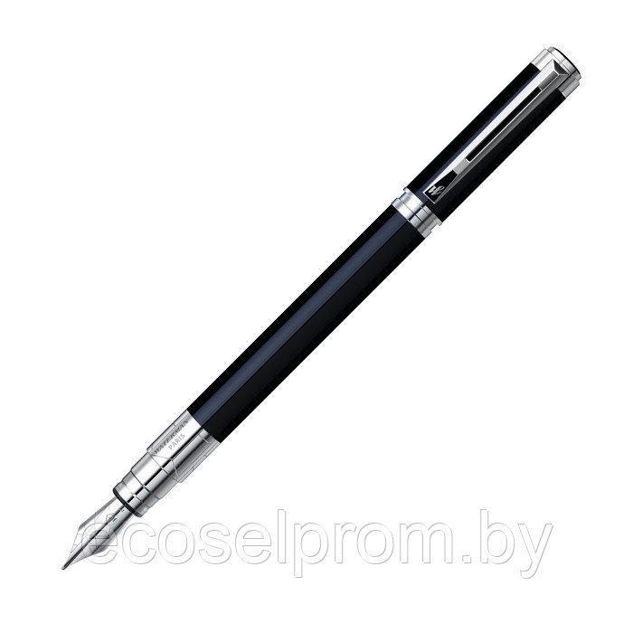 Waterman Perspective Black CT