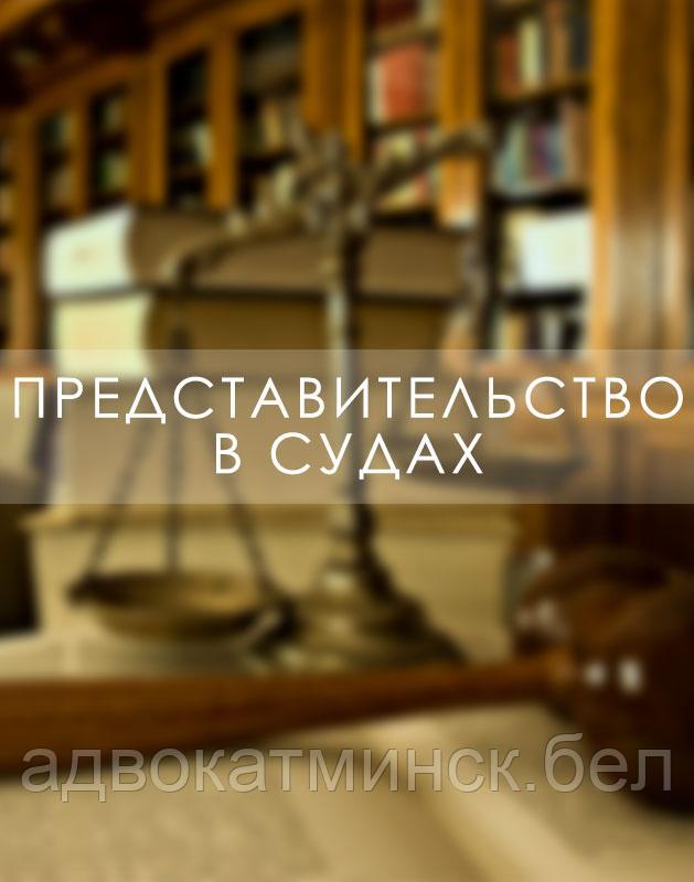 Адвокат Демидовец Е.М. ВЕДЕНИЕ ДЕЛ В СУДАХ по гражданским, уголовным, административным делам.