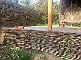 Плетеный забор натуральное плетение, фото 3