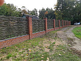 Деревянный забор из орешника, фото 6