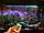 Светодиодная подсветка с распылителем и пультом ДУ 138 см, фото 2