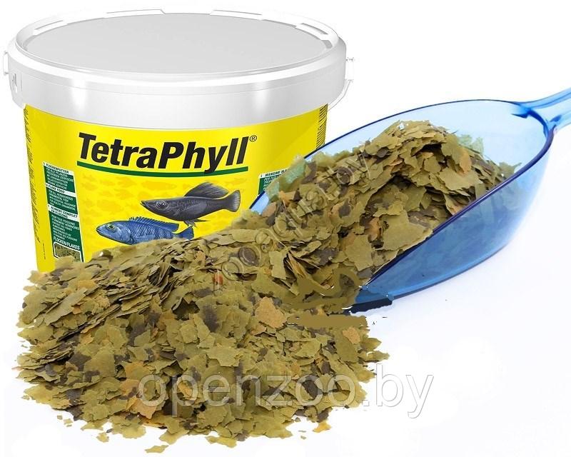 Tetra TETRA Phyll 10L/2050g (на развес) 1