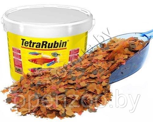 Tetra Tetra Rubin (на развес) 1