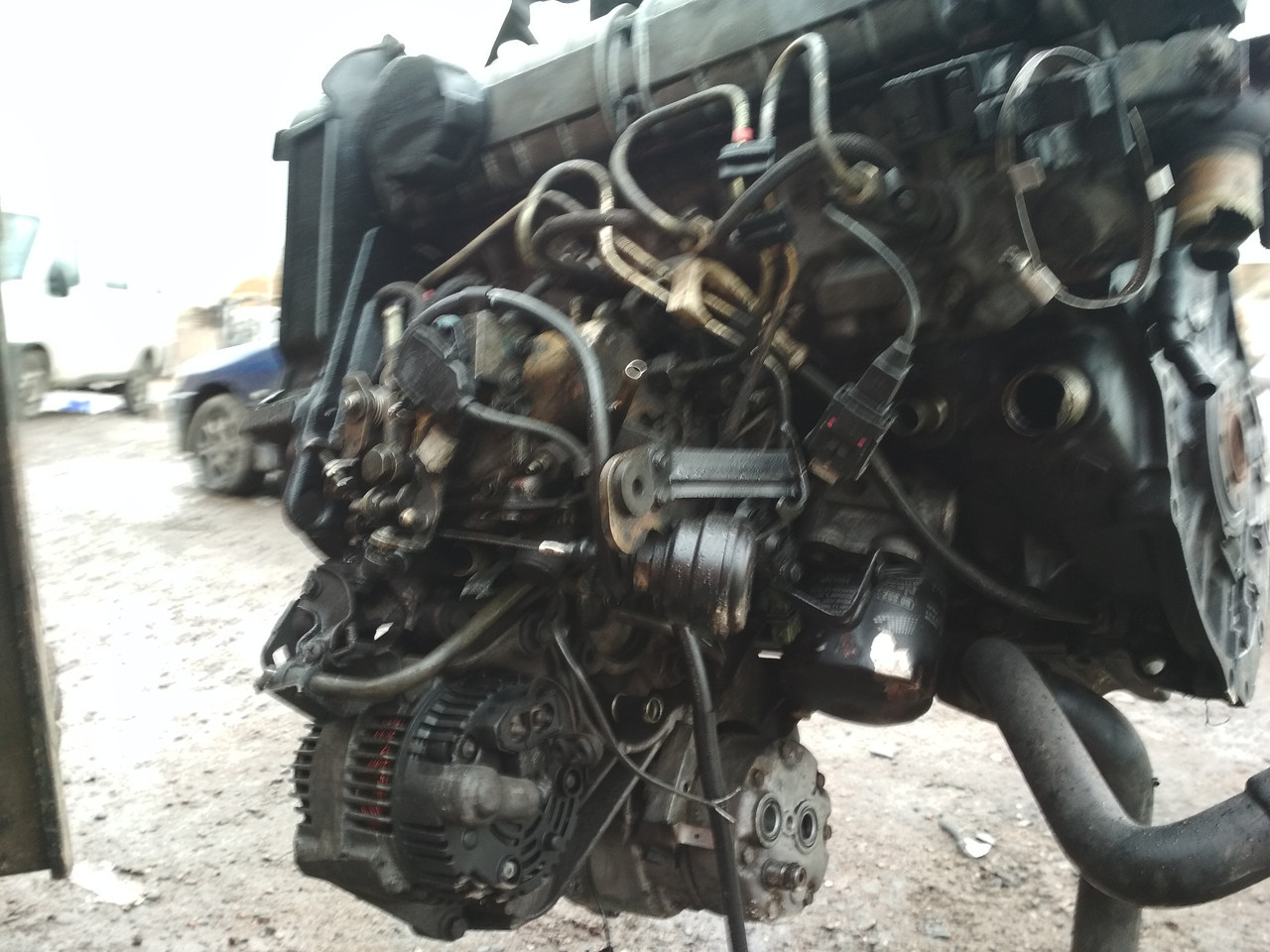 Двигатель Renault Megane 1996 (F8T) 1,9 TD - фото 6 - id-p89212487