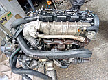 Контрактные двигатели Peugeot(пежо) 307 DW10TD (RHY), 2002, 66 kW ( 90 HP) 2.0 Hdi, фото 4