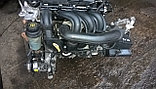 Двигатель Ford Focus 1.6 бензин 2007 г (SHDA,HWDA), фото 2