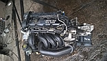 Двигатель Ford Focus 1.6 бензин 2007 г (SHDA,HWDA), фото 4