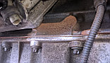 Контрактные двигатели Ford Focus(форд фокус) 1.6 бензин 2005 г (SHDA), фото 6