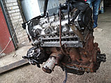 Контрактные двигатели Iveco DAYLY(ивеко дейли) (F1AE0481B) 2.3 Td 2005 г, фото 6