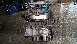 Контрактные двигатели  Peugeot (пежо) 406, 3.0, 2003 г., XFX 10fj2h 150-152 kW ( 204-207 HP), фото 3