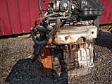 Комплектный двигатель Volkswagen Golf 1595см3 бензин 2000 г (AKL), 74 kW ( 101 HP), фото 5