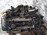 Двигатели Volkswagen Polo(фольксваген поло) 1.4 дизель BBY  2004., фото 6