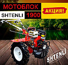 Мотоблок Shtenli 1900 PRO (14-P) c ВОМ, колеса 7,5х12, фото 2
