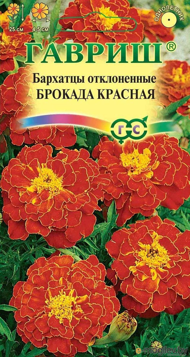 Тагетес (Бархатцы) «Брокада красная» 25 см, 0,3 г (Остаток 3 шт !!!)