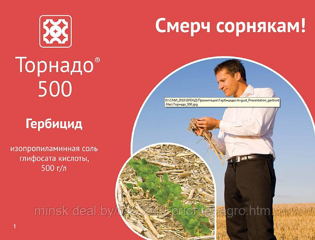 Торнадо 500, ВР, фото 2