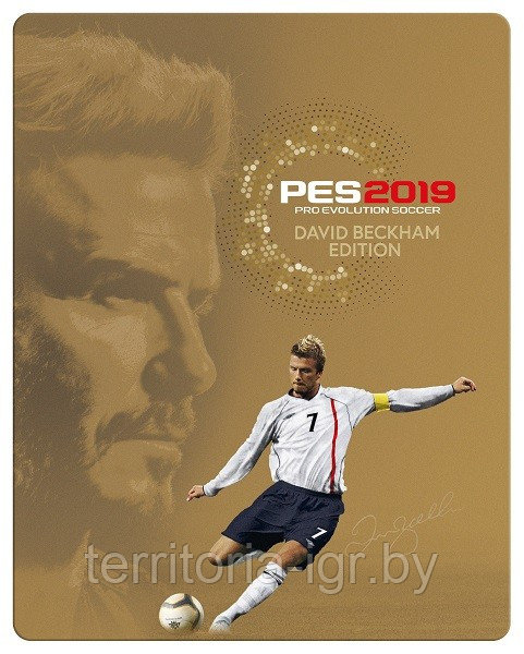 Pro Evolution Soccer 2019 DVD-2 (Копия лицензии) PC