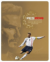 Pro Evolution Soccer 2019 DVD-2 (Копия лицензии) PC