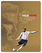 Pro Evolution Soccer 2019 DVD-2 (Копия лицензии) PC