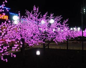 Светодиодное Дерево "Сакура", высота 2,4м, диаметр кроны 2,0м, фиолетовые диоды