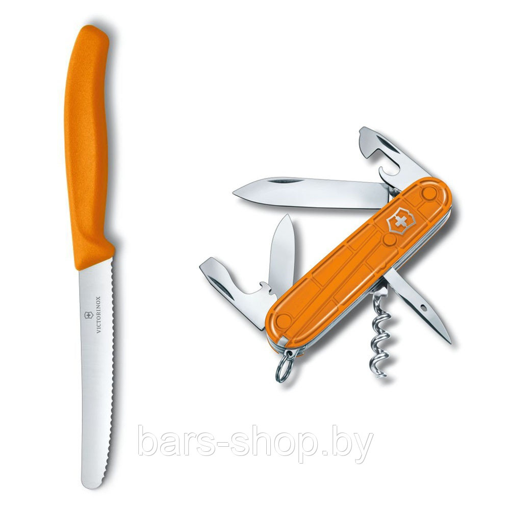Набор ножей Victorinox Color Twins, 91 мм, оранжевый (1.8901.L9) - фото 1 - id-p89424982