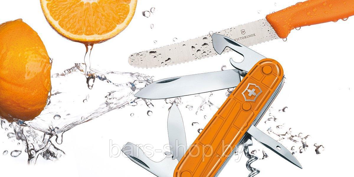 Набор ножей Victorinox Color Twins, 91 мм, оранжевый (1.8901.L9) - фото 4 - id-p89424982