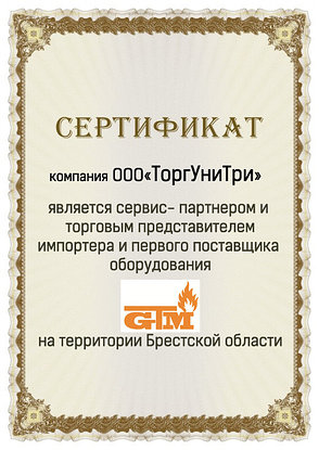 Твердотопливный котел GTM Master SE 17, фото 2