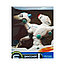Р/у интерактивный робот-динозавр Yearoo E-Robot 88001, фото 4