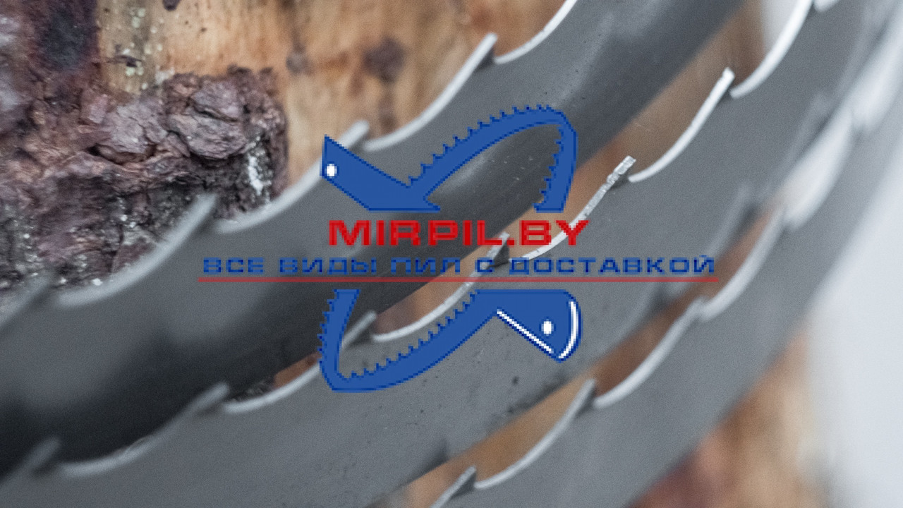 Пильная лента зимнего профиля 9/29 Wood-Mizer DH 32мм 38мм