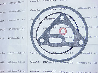 Ремкомплект ФЦОМ 236-1028001