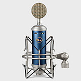 Конденсаторный микрофон Blue Microphones Bluebird SL, фото 4