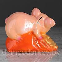 Копилка "Свинка на монетах" персиковый глянец, фото 4