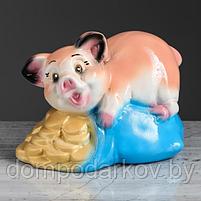 Копилка "Свинка на монетах" персиковый глянец, фото 5